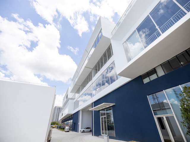 静安商用植物租赁公司