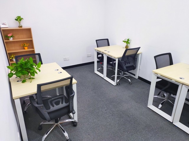 河北加拿大铁杉木哪里有